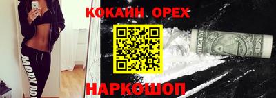 Альфа ПВП Можга