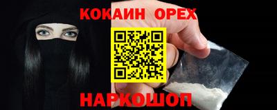 Альфа ПВП Можга