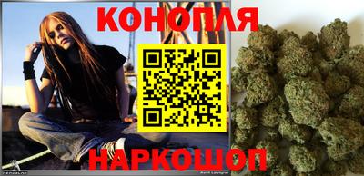 Альфа ПВП Можга