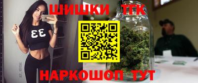 Альфа ПВП Можга