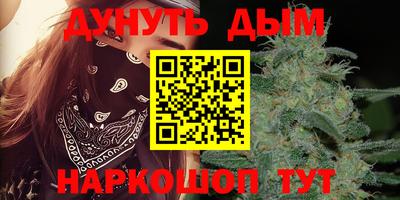 Альфа ПВП Можга