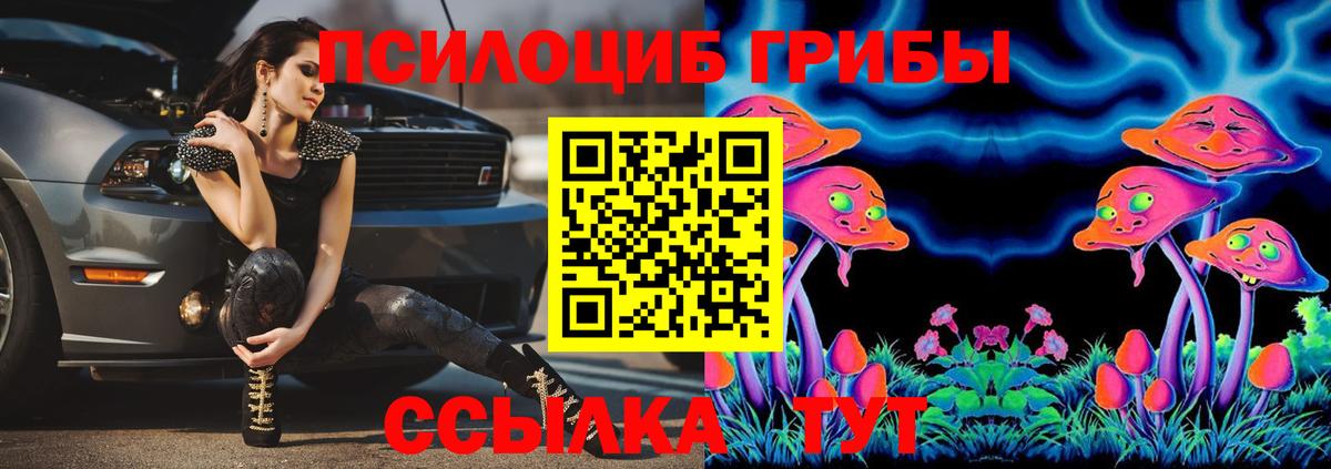 Сухой Лог  Галлюциногенные грибы Psilocybine cubensis  Галлюциногенные грибы Magic Shrooms  Вход с VPN 